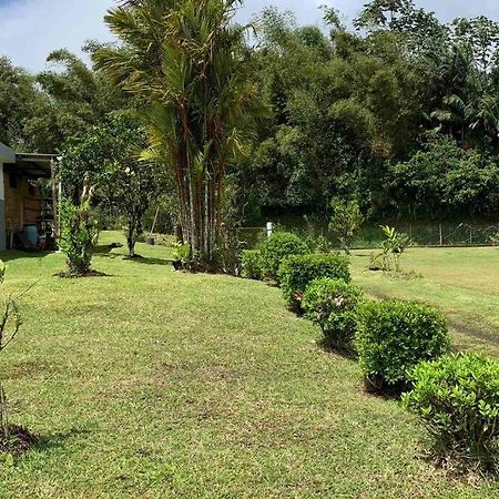 972B-Coin De Verdure Au Pied De La Montagne Pelee Le Morne-Rouge Eksteriør bilde