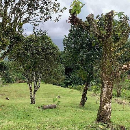 972B-Coin De Verdure Au Pied De La Montagne Pelee Le Morne-Rouge Eksteriør bilde
