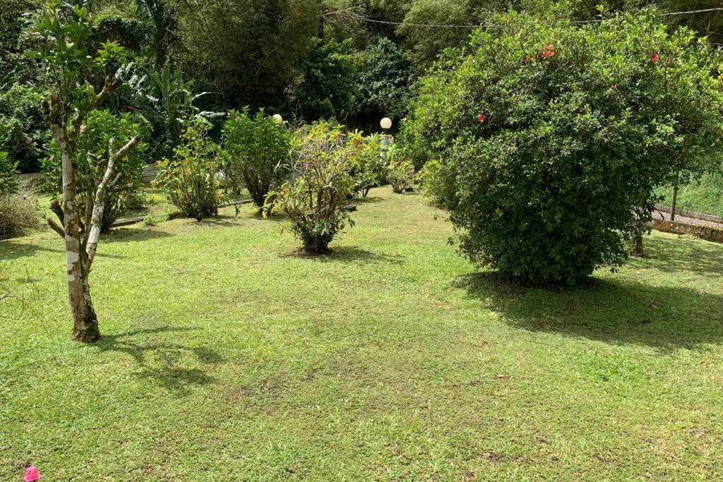 972B-Coin De Verdure Au Pied De La Montagne Pelee Le Morne-Rouge Eksteriør bilde